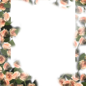 Floral frame PNG