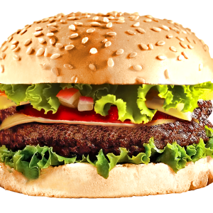 hamburger, burger PNG image