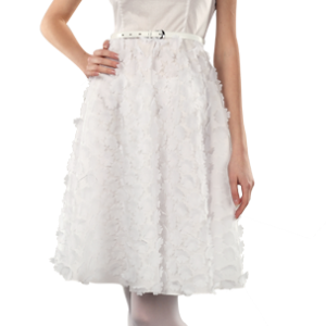 Dress PNG