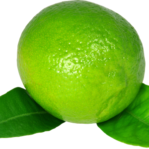 Lime PNG