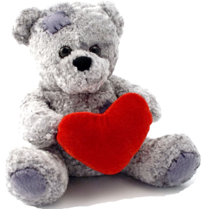 Teddy bear PNG