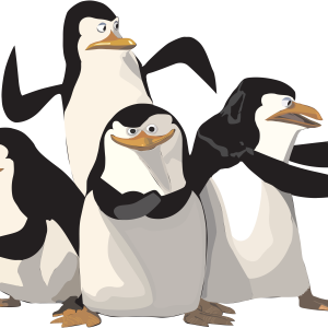 Madagascar penguins PNG