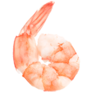 Shrimps PNG