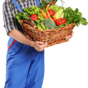Farmer PNG