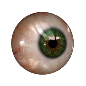 Eye PNG