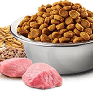 Dog food PNG