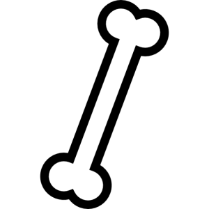 Bone PNG