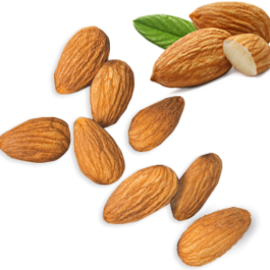 Almond PNG