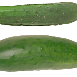 Cucumber PNG