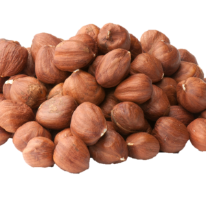 hazelnut PNG
