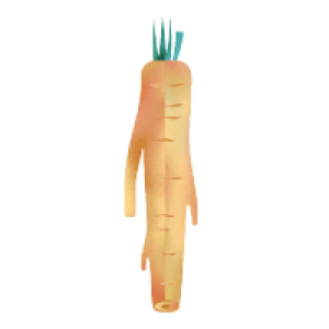 Horseradish PNG