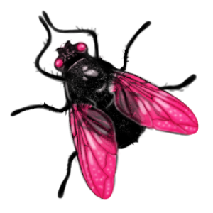 fly PNG image