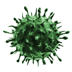 Virus PNG