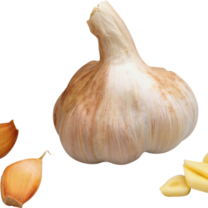 Garlic PNG