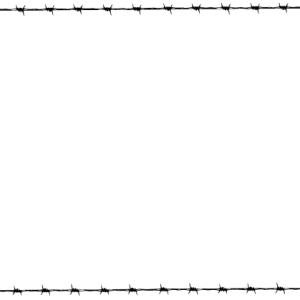 Barbwire PNG