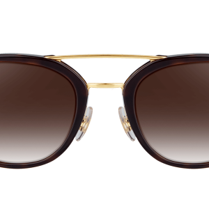 Sunglasses PNG