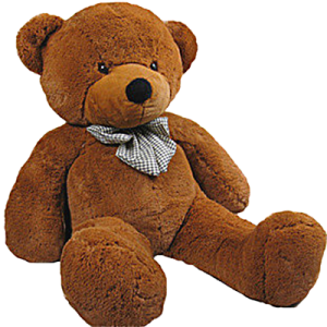 Teddy bear PNG