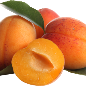 Apricots image PNG