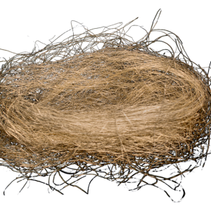 Nest PNG
