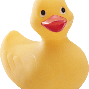 Rubber duck PNG