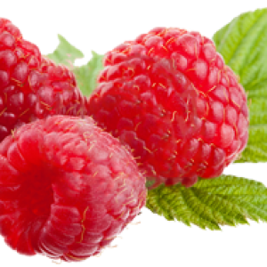 Rraspberry PNG image