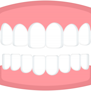 teeth png