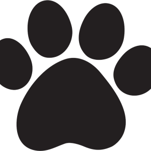 Paw PNG