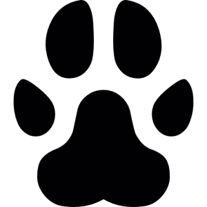 Paw PNG