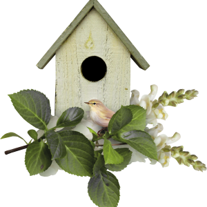 Nest box PNG transparent