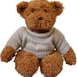 toy bear PNG image
