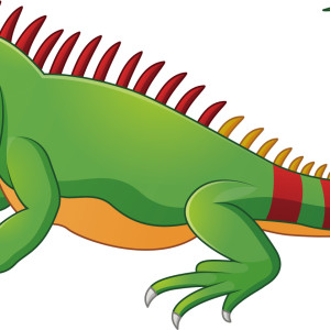 Iguana PNG