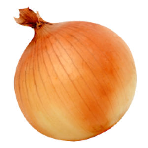 Onion PNG image, free download picture