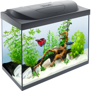 Aquarium PNG