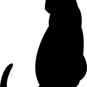 Cat sitting siluette PNG