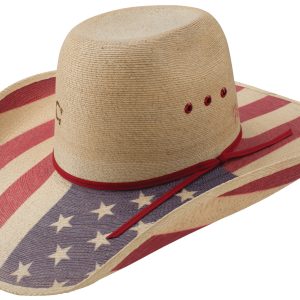 Cowboy hat PNG