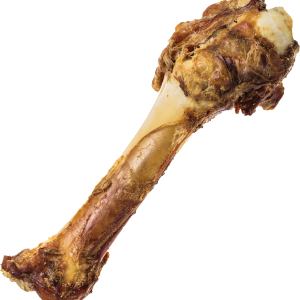 Bone PNG