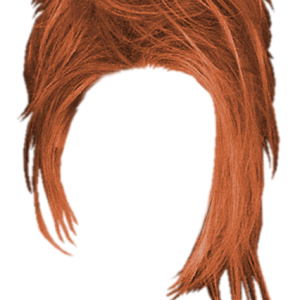 Hair wig PNG