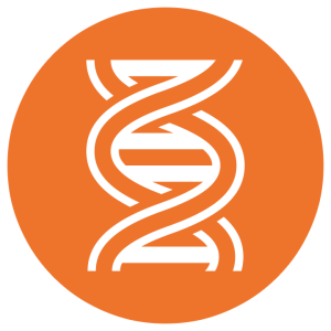 DNA PNG