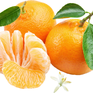 Mandarin PNG