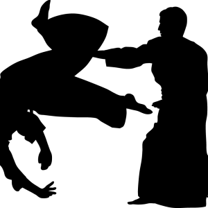 Aikido PNG