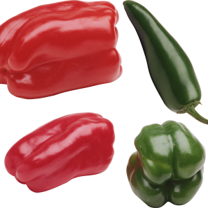 Bell pepper PNG
