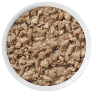Dog food PNG
