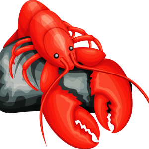 Lobster PNG