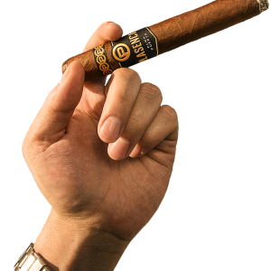 Cigar PNG in hand