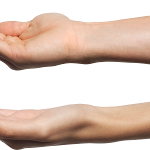 hand PNG
