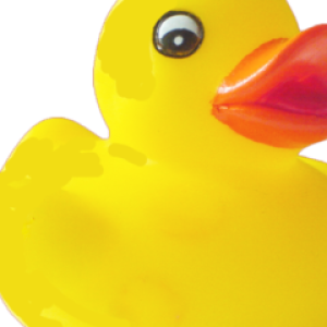 Rubber duck PNG