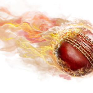 Cricket PNG