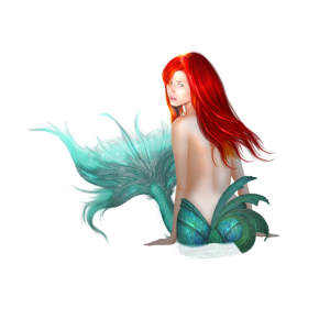 Mermaid PNG