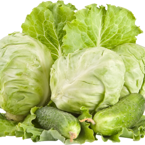 Cabbage PNG image