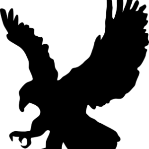 Eagle black siluet PNG image, free download